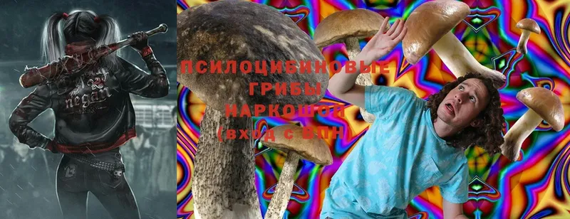 Псилоцибиновые грибы MAGIC MUSHROOMS  купить   Воркута 